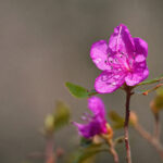 16110期彩票开奖结果最新公布,幸运号码揭晓 078z130sih